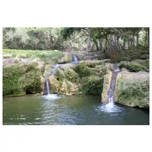 Excursión a Las Terrazas miniatura 1