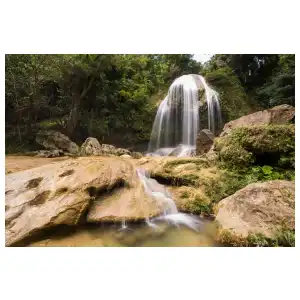 Excursión a Las Terrazas miniatura 2